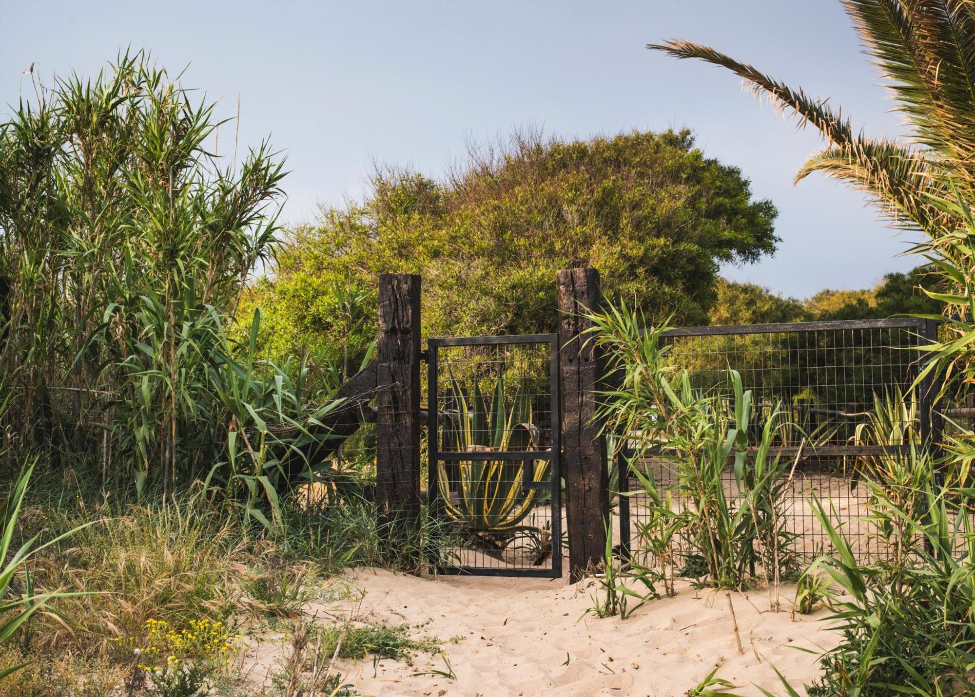 Casara Dos - 2 Dormitorios - Torre Con Acceso Privado A La Playa De Zahora Zewnętrze zdjęcie