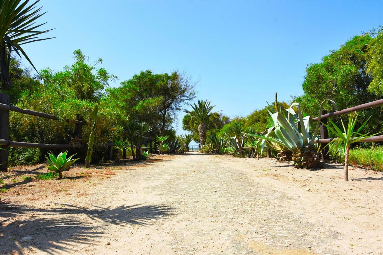Casara Dos - 2 Dormitorios - Torre Con Acceso Privado A La Playa De Zahora Zewnętrze zdjęcie