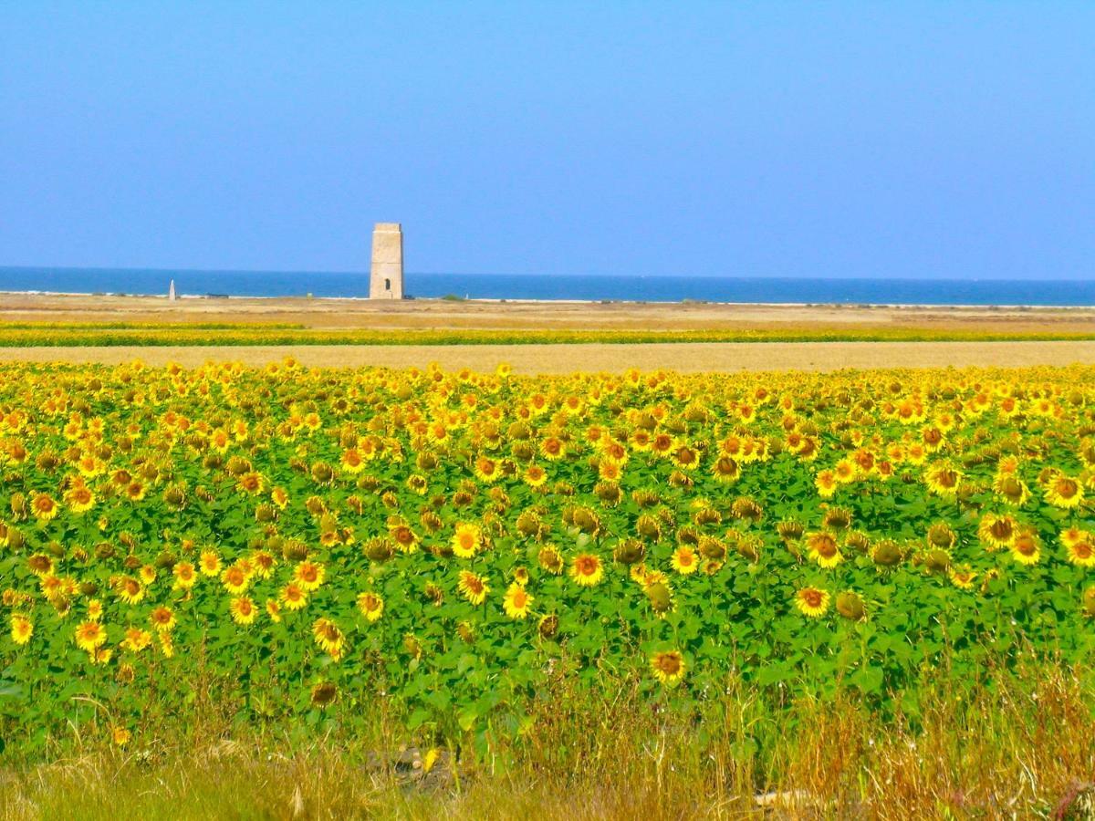 Casara Dos - 2 Dormitorios - Torre Con Acceso Privado A La Playa De Zahora Zewnętrze zdjęcie